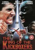    - The King of the Kickboxers [1990]  online 